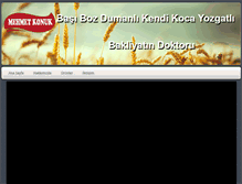 Tablet Screenshot of mehmetkonukbakliyat.com